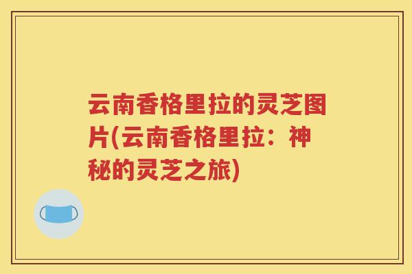 云南香格里拉的灵芝图片(云南香格里拉：神秘的灵芝之旅)