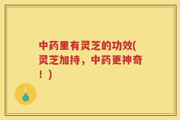 里有灵芝的功效(灵芝加持,更神奇!) 里有灵芝的功效(灵芝加持,更神奇!)