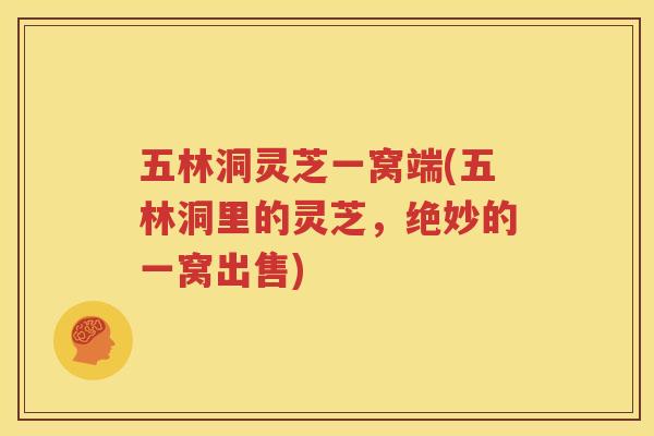 五林洞灵芝一窝端(五林洞里的灵芝，绝妙的一窝出售)