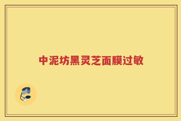 中泥坊黑灵芝面膜