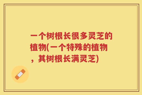 一个树根长很多灵芝的植物(一个特殊的植物，其树根长满灵芝)