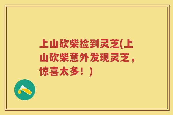 上山砍柴捡到灵芝(上山砍柴意外发现灵芝，惊喜太多！)