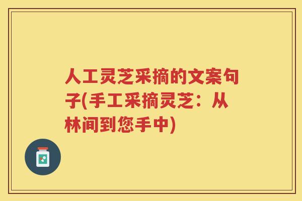 人工灵芝采摘的文案句子(手工采摘灵芝：从林间到您手中)