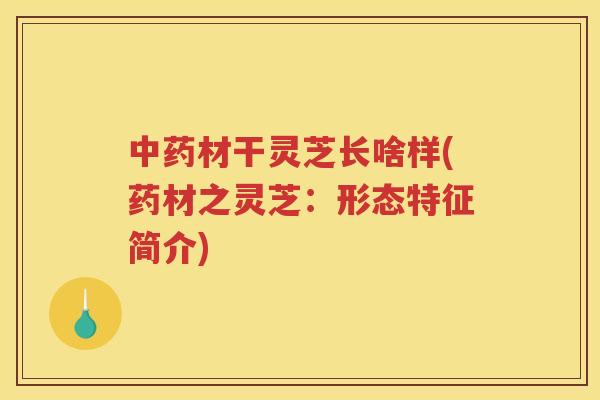 材干灵芝长啥样(药材之灵芝：形态特征简介)