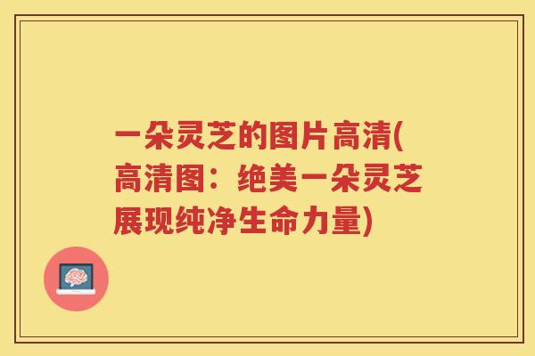 一朵灵芝的图片高清(高清图：绝美一朵灵芝展现纯净生命力量)