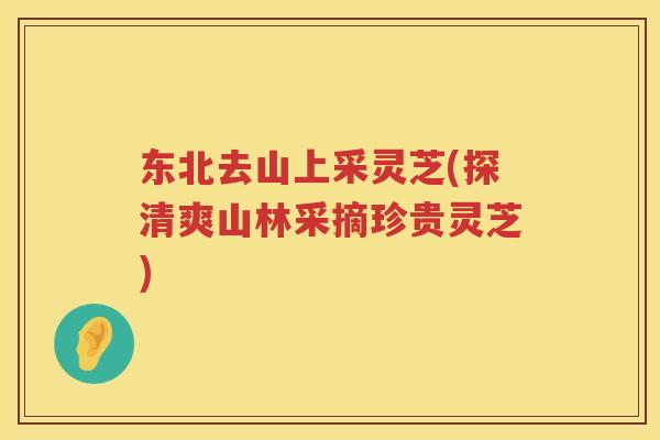 东北去山上采灵芝(探清爽山林采摘珍贵灵芝)
