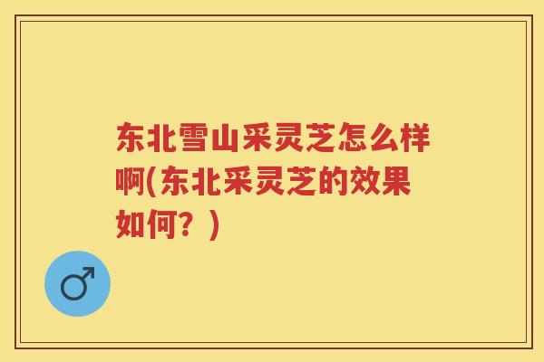 东北雪山采灵芝怎么样啊(东北采灵芝的效果如何？)