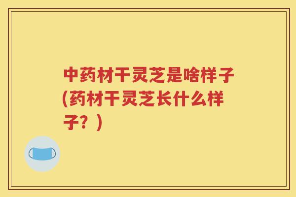材干灵芝是啥样子(药材干灵芝长什么样子？)