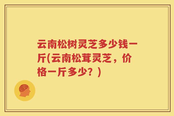 云南松树灵芝多少钱一斤(云南松茸灵芝，价格一斤多少？)