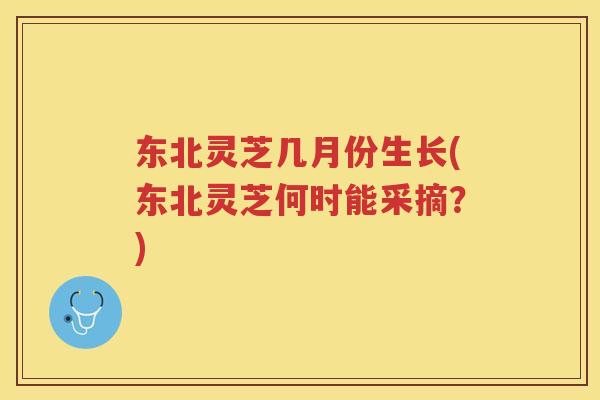 东北灵芝几月份生长(东北灵芝何时能采摘？)