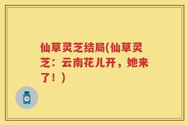 仙草灵芝结局(仙草灵芝：云南花儿开，她来了！)