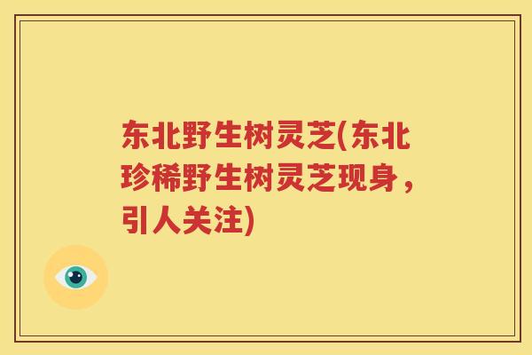 东北野生树灵芝(东北珍稀野生树灵芝现身，引人关注)