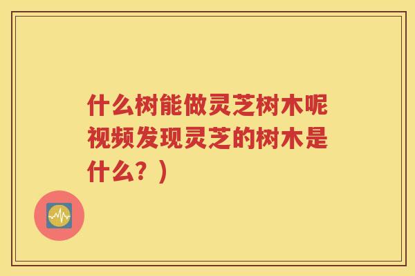 什么树能做灵芝树木呢视频发现灵芝的树木是什么?) 什么树能做灵芝树木呢视频发现灵芝的树木是什么?)