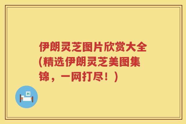 伊朗灵芝图片欣赏大全(精选伊朗灵芝美图集锦，一网打尽！)