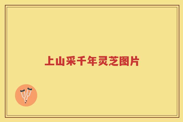 上山采千年灵芝图片 上山采千年灵芝图片