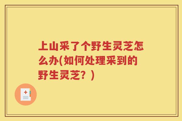 上山采了个野生灵芝怎么办(如何处理采到的野生灵芝？)
