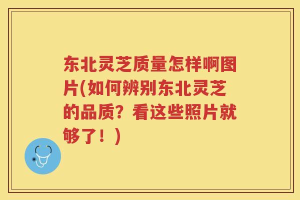 东北灵芝质量怎样啊图片(如何辨别东北灵芝的品质？看这些照片就够了！)