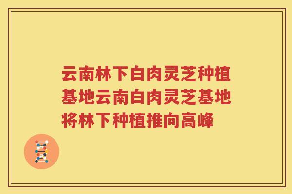 云南林下白肉灵芝种植基地云南白肉灵芝基地将林下种植推向高峰