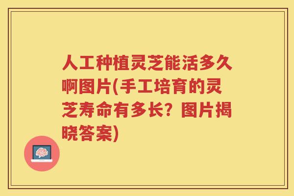 人工种植灵芝能活多久啊图片(手工培育的灵芝寿命有多长?图片揭晓答案) 人工种植灵芝能活多久啊图片(手工培育的灵芝寿命有多长?图片揭晓答案)