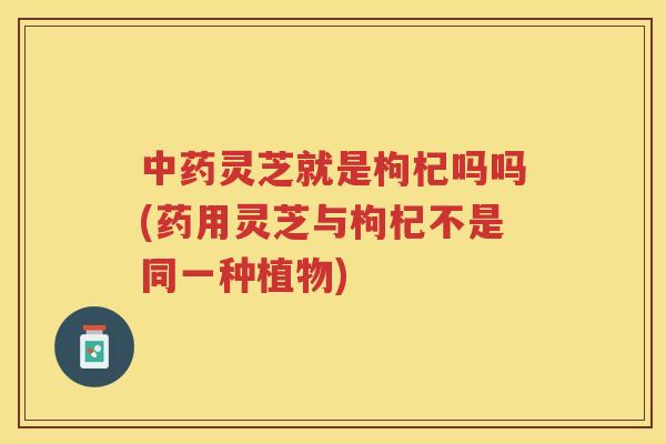 灵芝就是枸杞吗吗(药用灵芝与枸杞不是同一种植物) 灵芝就是枸杞吗吗(药用灵芝与枸杞不是同一种植物)