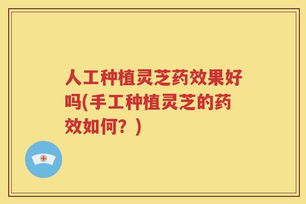 人工种植灵芝果好吗(手工种植灵芝的如何？)