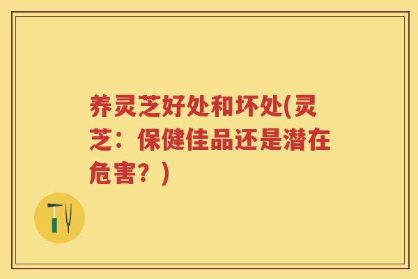 养灵芝好处和坏处(灵芝：保健佳品还是潜在危害？)