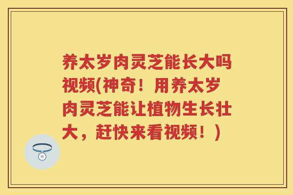 养太岁肉灵芝能长大吗视频(神奇!用养太岁肉灵芝能让植物生长壮大,赶快来看视频!) 养太岁肉灵芝能长大吗视频(神奇!用养太岁肉灵芝能让植物生长壮大,赶快来看视频!)