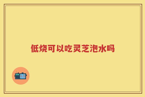 低烧可以吃灵芝泡水吗