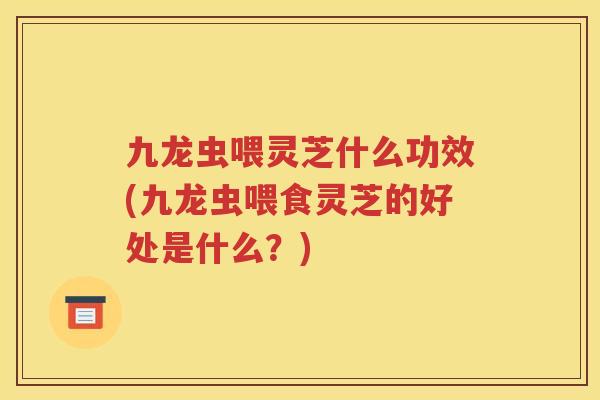 九龙虫喂灵芝什么功效(九龙虫喂食灵芝的好处是什么？)