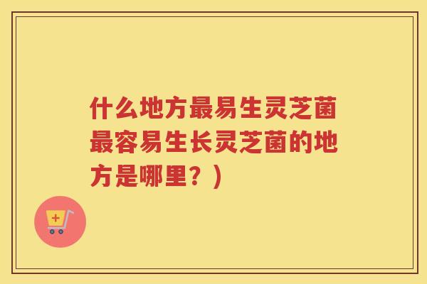 什么地方易生灵芝菌容易生长灵芝菌的地方是哪里?) 什么地方易生灵芝菌容易生长灵芝菌的地方是哪里?)