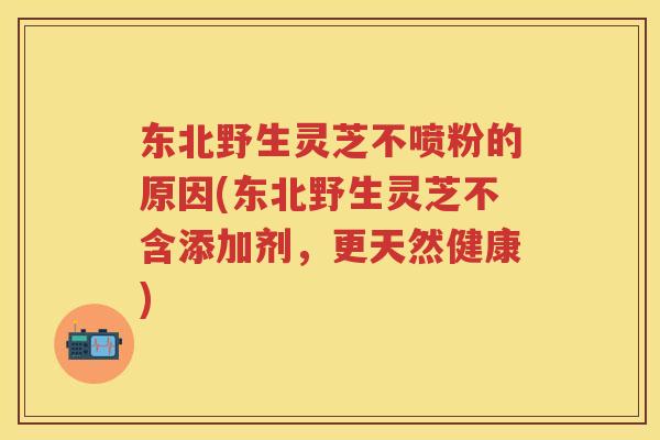东北野生灵芝不喷粉的原因(东北野生灵芝不含添加剂，更天然健康)