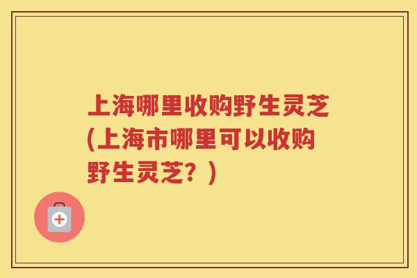 上海哪里收购野生灵芝(上海市哪里可以收购野生灵芝？)