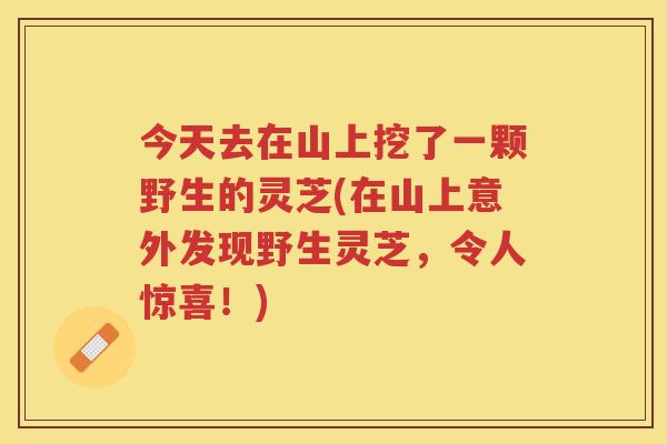 今天去在山上挖了一颗野生的灵芝(在山上意外发现野生灵芝，令人惊喜！)
