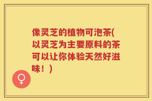 像灵芝的植物可泡茶(以灵芝为主要原料的茶可以让你体验天然好滋味！)