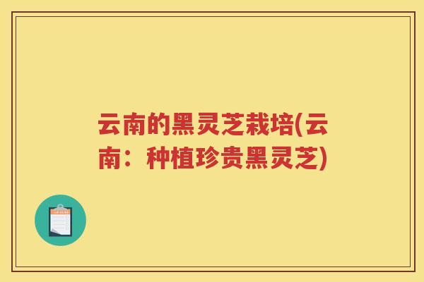 云南的黑灵芝栽培(云南:种植珍贵黑灵芝) 云南的黑灵芝栽培(云南:种植珍贵黑灵芝)