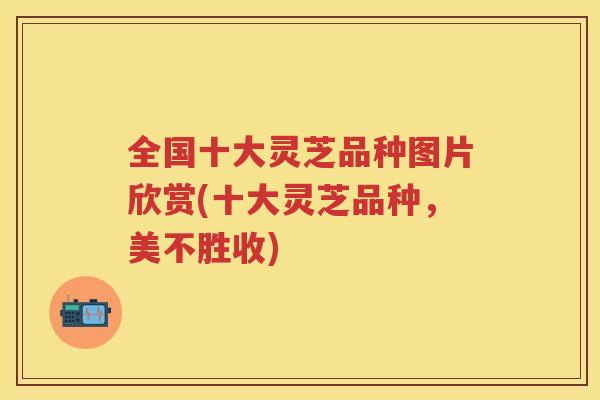 全国十大灵芝品种图片欣赏(十大灵芝品种，美不胜收)