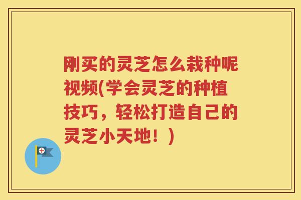 刚买的灵芝怎么栽种呢视频(学会灵芝的种植技巧,轻松打造自己的灵芝小天地!) 刚买的灵芝怎么栽种呢视频(学会灵芝的种植技巧,轻松打造自己的灵芝小天地!)