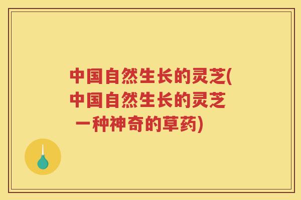 中国自然生长的灵芝(中国自然生长的灵芝 一种神奇的草药) 中国自然生长的灵芝(中国自然生长的灵芝 一种神奇的草药)