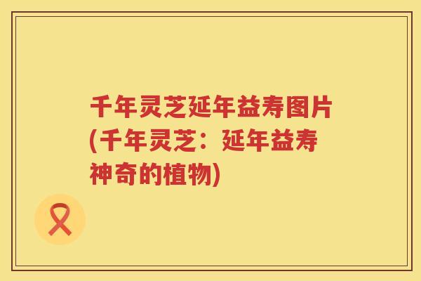 千年灵芝延年益寿图片(千年灵芝：延年益寿神奇的植物)