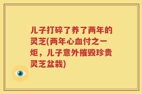 儿子打碎了养了两年的灵芝(两年心付之一炬，儿子意外摧毁珍贵灵芝盆栽)