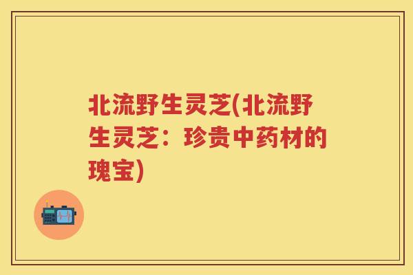 北流野生灵芝(北流野生灵芝：珍贵材的瑰宝)