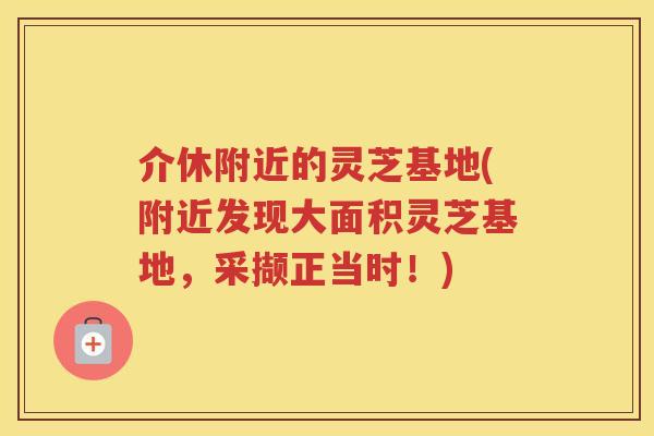 介休附近的灵芝基地(附近发现大面积灵芝基地，采撷正当时！)