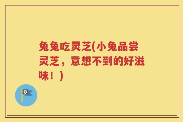 兔兔吃灵芝(小兔品尝灵芝,意想不到的好滋味!) 兔兔吃灵芝(小兔品尝灵芝,意想不到的好滋味!)