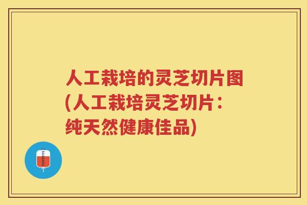 人工栽培的灵芝切片图(人工栽培灵芝切片:纯天然健康佳品) 人工栽培的灵芝切片图(人工栽培灵芝切片:纯天然健康佳品)