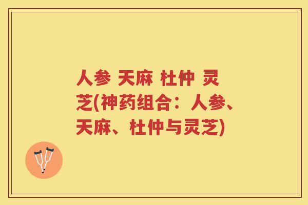 人参 天麻 杜仲 灵芝(神药组合：人参、天麻、杜仲与灵芝)