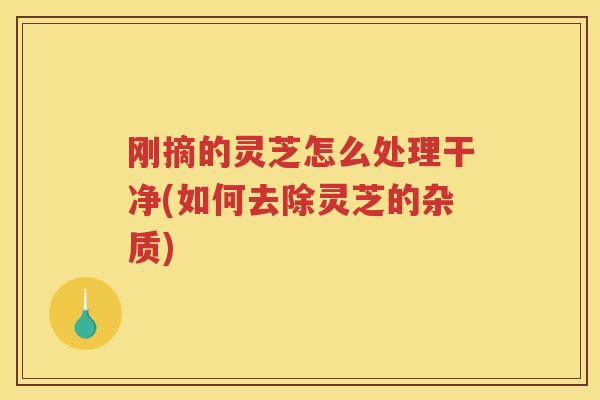刚摘的灵芝怎么处理干净(如何去除灵芝的杂质)