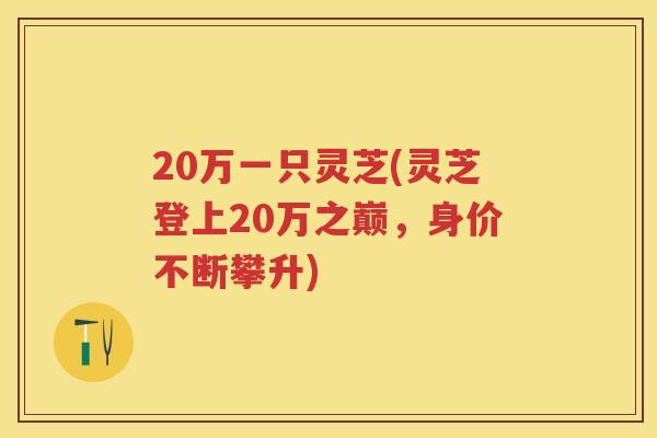 20万一只灵芝(灵芝登上20万之巅,身价不断攀升) 20万一只灵芝(灵芝登上20万之巅,身价不断攀升)