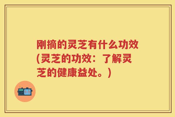刚摘的灵芝有什么功效(灵芝的功效：了解灵芝的健康益处。)