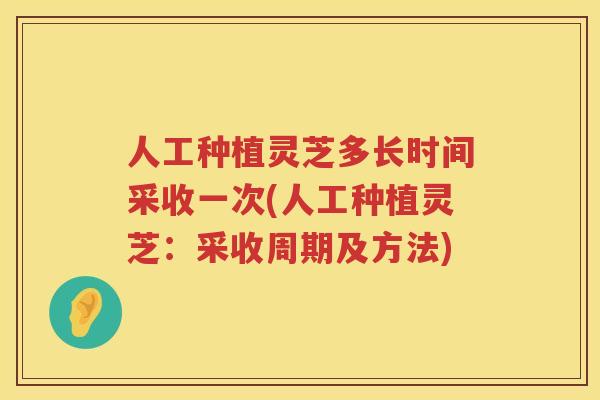 人工种植灵芝多长时间采收一次(人工种植灵芝:采收周期及方法) 人工种植灵芝多长时间采收一次(人工种植灵芝:采收周期及方法)