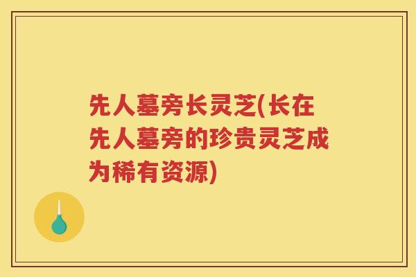 先人墓旁长灵芝(长在先人墓旁的珍贵灵芝成为稀有资源)
